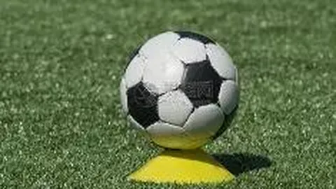 开云体育官网优惠 产品 094202 owz