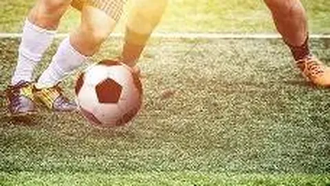 开云体育官网优惠 资讯 094300 v31